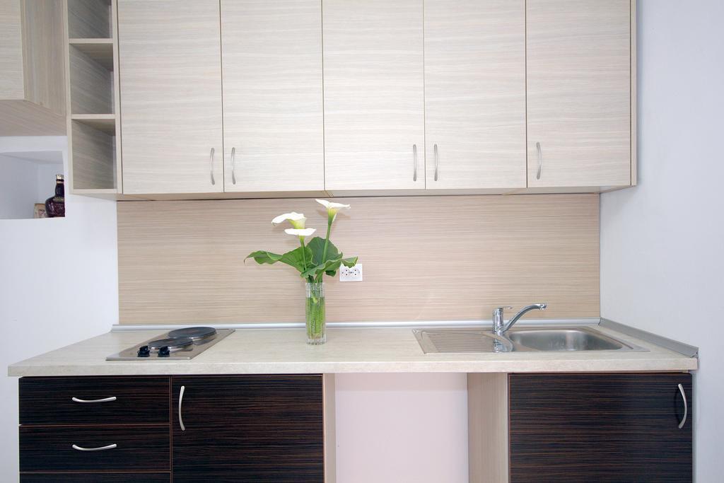 Apartments Pavlovic Petrovac Extérieur photo